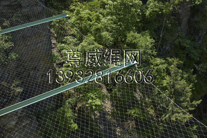 不锈钢绳网
