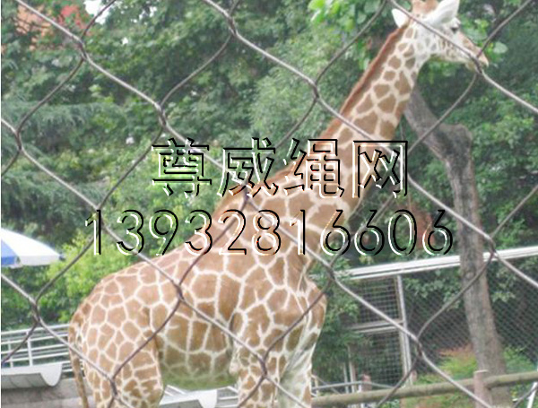 不锈钢绳网 不锈钢绳网